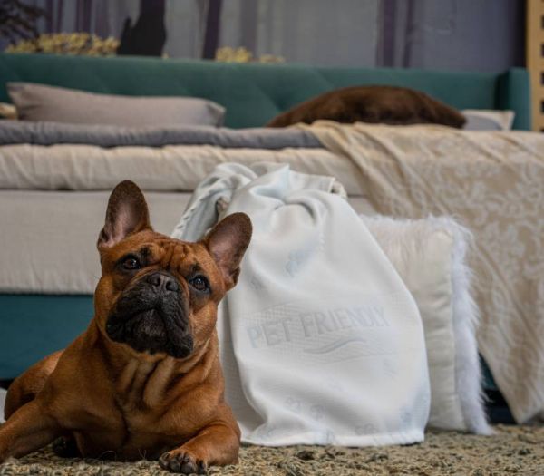 PET FRIENDLY ΚΑΛΥΜΑ 160Χ200 - MEDIA STROM